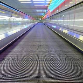 Psalm 146 | Bible Commentary | Theology of Work Moving Walkway, Business Research, Bible Psalms, Sky Bridge, Bible Commentary, Book Of Psalms, Christian Education, Gods Glory, Churches Of Christ