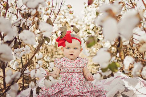 Family Photos In Cotton Field, Pictures In Cotton Field, Cotton Pictures Family, Fall Cotton Field Family Pictures, Cotton Family Pictures, Family Cotton Field Pictures, Cotton Field Photoshoot Family, Cotton Field Photoshoot, Cotton Field Pictures