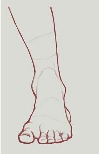 Feet Art Reference Anatomy, Feet Anatomy Reference Sketch, Hand And Feet Drawing Reference Anime, Feet How To Draw, Reference Feet Anatomy, Hand Reference Back View, Human Feet Drawing Reference, Front Feet Drawing, Human Feet Drawing