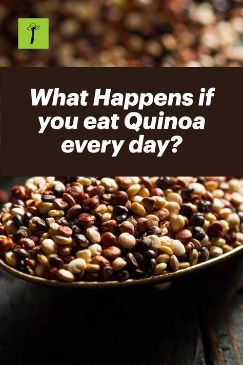 What Happens if you eat Quinoa every day? How Do You Cook Quinoa, Ways To Eat Quinoa, Quinoa For Diabetics, What To Eat With Quinoa, Is Quinoa Good For You, Black Quinoa Recipes, Quinoa Nutrition Facts, Quinoa Benefits Facts, How To Make Quinoa