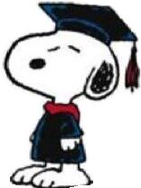 Hire A Grad Senior Jackets, Video News, D Day, Snoopy, On Twitter, Twitter