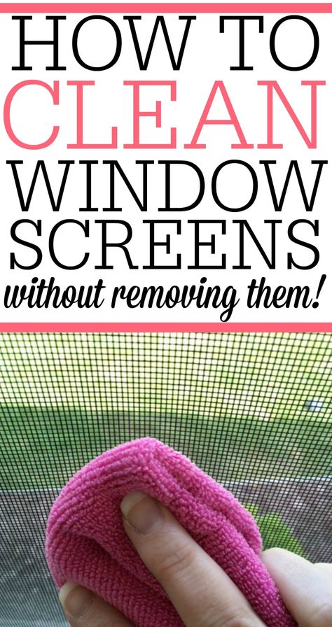 Clean Window Screens, Cleaning Window Screens, Clean Window, Homemade Toilet Cleaner, Hardwood Floor Cleaner, Cleaning Painted Walls, Glass Cooktop, Deep Cleaning Tips, Window Screens