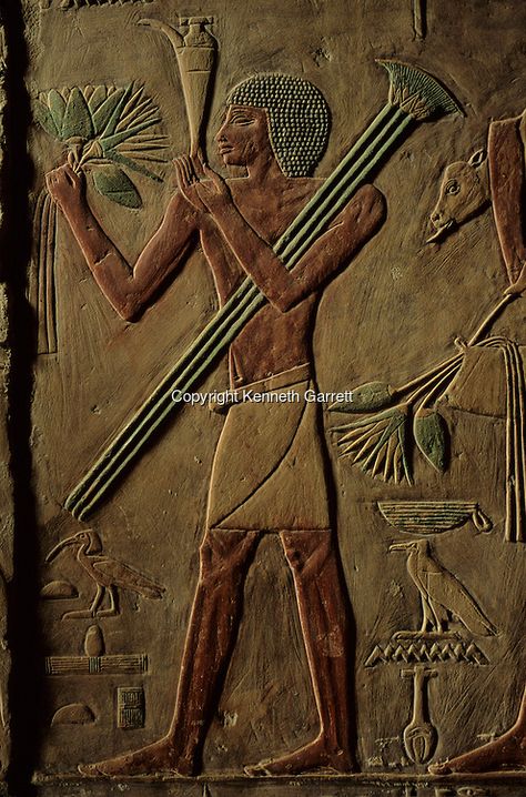 Egypt's Old Kingdom, A bearer brings offerings in the tomb of the Old Kingdom Sage Ptahhotep, ca 2360 BC Egypt Civilization, Ancient Egypt Civilization, Egyptian Tomb, Kemet Egypt, Egypt Museum, Ancient Egyptian Artifacts, Ancient Hebrew, Egyptian Artifacts, Ancient Egypt Art