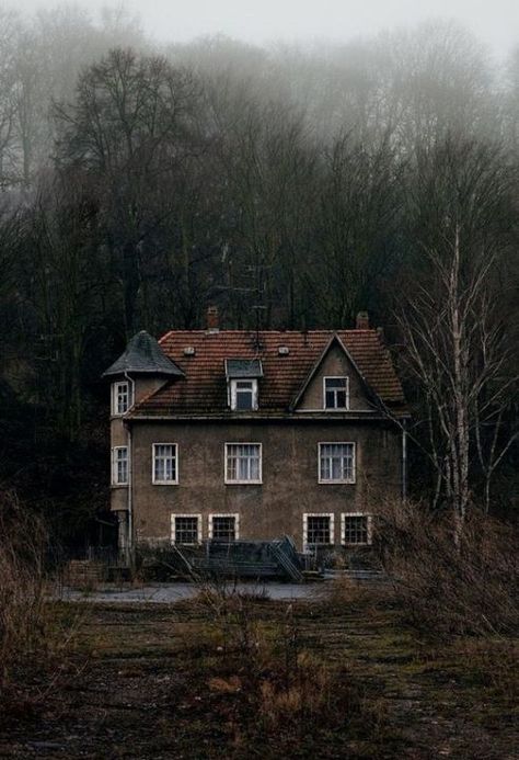 Abandoned House, Old House, In The Middle, The Middle, Trees, Forest