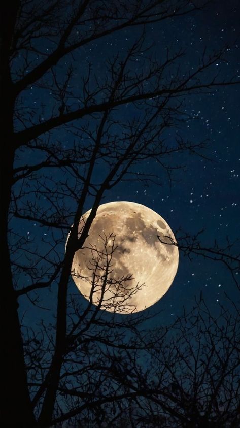 Full Moon Beautiful, Moon Through Trees, Beautiful Moon Night, Dark Moon Wallpaper, Moon Wallpaper Iphone, Moon Scenery, Iphone Wallpaper Moon, Full Moon Photography, Wallpapers 4k Hd