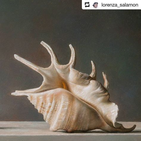 #Repost @lorenza_salamon • • • Shells! • Gianluca Corona  exhibits permanently at Salamon Fine Art Www.salamonfineart.com 📞02 7601 3142 •… Seashells Photography, Fish Artwork, Seashell Painting, Dutch Painters, Italian Painters, Sea Art, Dutch Artists, Painting Still Life, Coastal Art