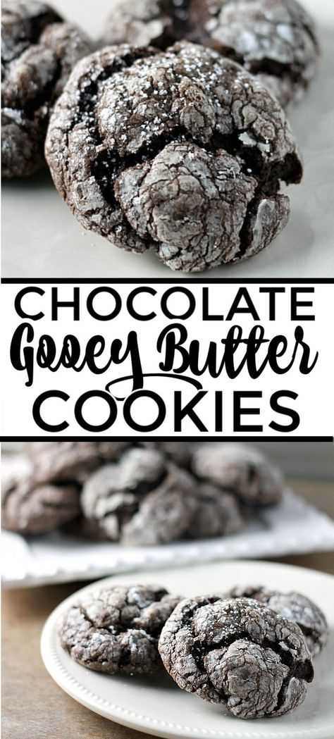 Chocolate Gooey Butter Cookies are light and pillowy and melt in your mouth! At only six ingredients, they just might be your new favorite cookie! | www.persnicketyplates.com #dessert #cookies #cakemixcookies #chocolate #baking #easyrecipe #semihomemade #christmascookies Cookies Gooey, Persnickety Plates, Chocolate Marshmallow Cookies, Salted Caramel Pretzels, Chocolate Chip Shortbread Cookies, Gooey Butter Cookies, Quick Cookies, Future Chef, Gooey Butter