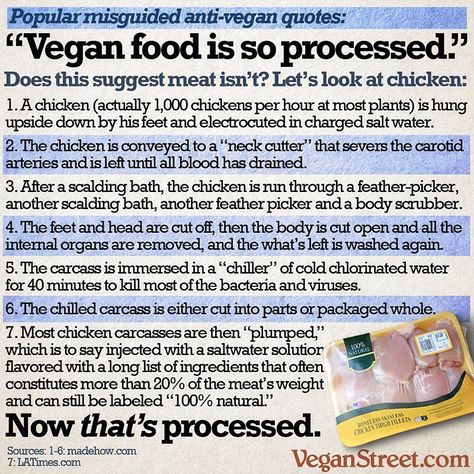 Anti Vegan, Reasons To Be Vegan, Reasons To Go Vegan, Vegan Facts, Nutrition Chart, Nutrition Month, Vegan Memes, Sport Nutrition, Vegan Quotes