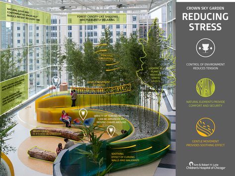 Northwestern University Chicago, Healing Garden Design, Pediatric Hospital, Pediatric Medicine, Bamboo Planter, Healing Garden, New Hospital, Chicago University, Forest Canopy