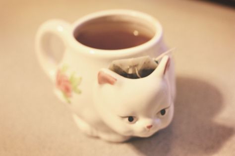 cat tea cup with tea bag holder Teacup Cats, Cat Teapot, Drink Tea, Tea Bag Holder, A Cup Of Tea, Cat People, My Cup Of Tea, Cat Mug, Cup Of Tea