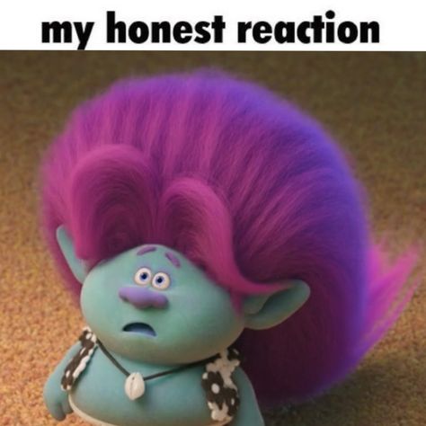 Bruce trolls 3 :3 Troll Meme, My Honest Reaction, Real Memes, Trolls 3, Honest Reaction, Funny Troll, Trolls Movie, Dreamworks Trolls, Dreamworks Animation