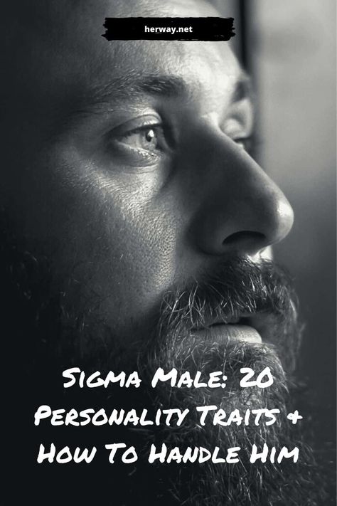 Sigma Male: 20 Personality Traits & How To Handle Him Alpha Male Aesthetic, Sigma Personality, Sigma Male Quotes, Sigma Man, Alpha Male Traits, Sigma Males, Alpha Male Romance, Sigma Female, Essential Oils For Pregnancy