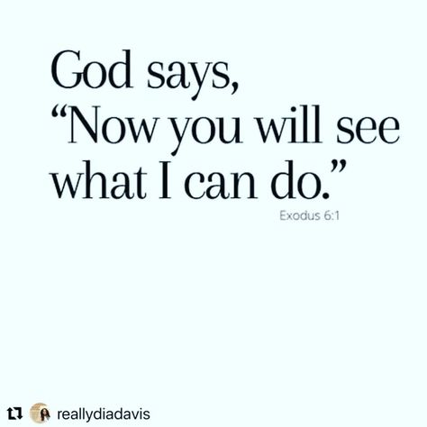 Anila | Thank you Lord🙏Amen ❤️🙏 #Repost @reallydiadavis with @use.repost ・・・ Hold Your Peace. Amen 🙏🏿 : Follow for daily empowerment, prayers… | Instagram Lord Thank You, Testimony Quotes Inspirational, Testimony Quotes, Biblical Motivation, Hold Your Peace, Family Forever, Self Actualization, Jesus Bible, Thank You Lord