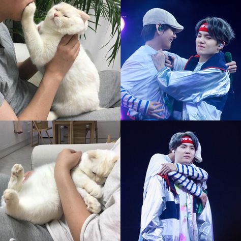 Suga Lil Meow Meow, Yoongi Heart, Yoongi And Taehyung, Lil Meow Meow, Army Jokes, Bts Meme, Suga Yoongi, Funny Images Laughter, Min Yoongi Bts