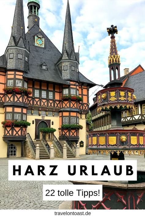 (Werbung) Hol dir die schönsten Tipps für deinen Harz Urlaub: ob Hängebrücke Titan RT, Tropfsteinhöhle, Fachwerkhäuser und Cafes in Quedlinburg oder Goslar, Wernigerode Schloss oder (vegetarisch) essen gehen. #Harz #followyourharz Stalactite Cave, Hanging Bridge, Family Travel Quotes, Family Travel Photography, Nature Summer, On Toast, Family Travel Destinations, Suspension Bridge, Georges Braque