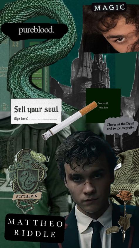 mattheo riddle Draco Malfoy And Matteo Riddle Wallpaper, Mattheo Riddle Quidditch, Mattheo Riddle Picture, Mattheo Riddle Aesthetic, Matthew Riddle, Matteo Riddle, Slytherin Gang, Riddle Pictures, Benjamin Wadsworth