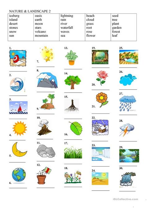 Landscape Vocabulary, Nature Worksheets, Nature Worksheet, Kids Literacy, Coloring Pages Inspirational, Kids English, Vocabulary Worksheets, Educational Worksheets, About Nature