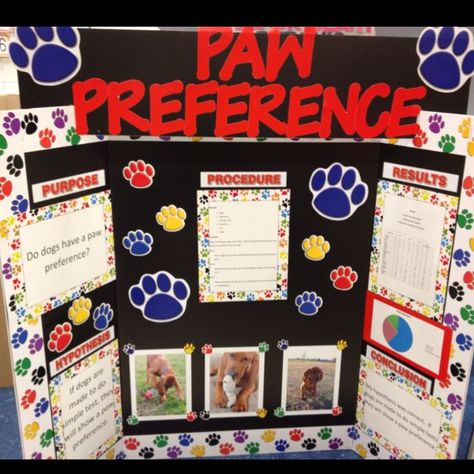 1st Grade Science Fair, Science Fair Topics, Biology Science Fair Projects, Science Project Board, Kids Science Fair Projects, Elementary Science Fair Projects, Science Fair Board, Dog Science, Science Fair Projects Boards