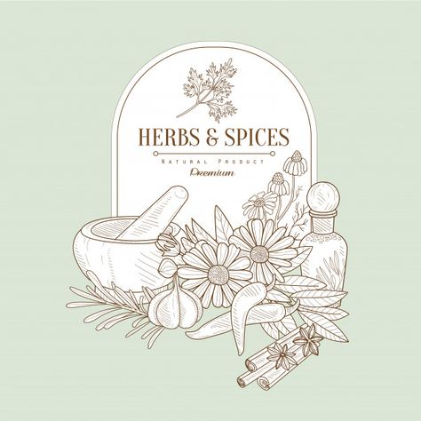 Herb Logo Design, Spices Illustration, Herbal Logo Design, Herb Logo, Herbal Logo, Herbs Illustration, Drinks Packaging Design, Lets Talk, Instagram Branding