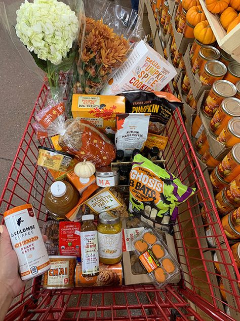 Halloween Trader Joes, Fall 2024 Vibes, Trader Joe’s Halloween, Trader Joe’s Fall Items, Trader Joe’s Grocery Haul, Trader Joes Fall 2023, Fall Trader Joe’s, Trader Joe’s Haul, Fall Night In