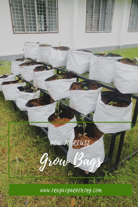 Did you know that you can reuse grow bags from year to year, too? Here's how to reuse grow bags and save money down the line. #gardeningtips #frugalgardening #recycling #growbags #savingmoney Diy Grow Bags How To Make, Growbag Garden Ideas, Diy Grow Bags, Grow Bag Garden, Garden Farming, Frugal Homemaking, Frugal Gardening, Garden Rack, Permaculture Garden