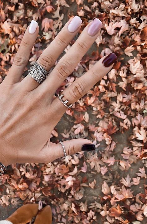 Gel Acrylic Nails Ideas For Fall, Autumn Skittle Nails, Neutral Nails Multi Color, Fall Color Combo Nails, Neutral Valentines Day Nails, All Nails Different Colors, Fall Multicolor Nails Acrylic, Different Color Fall Nails, Fall Multi Colored Nails