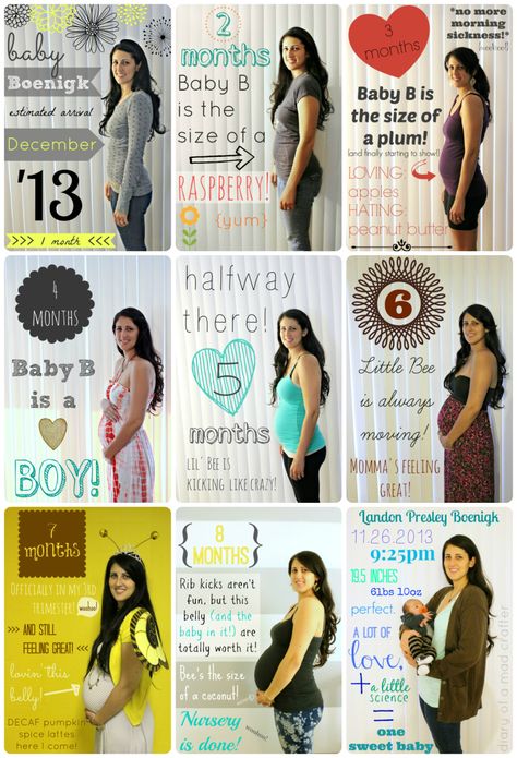 Pregnancy Progression Picture Collage Pregnancy 9 Months Photo, Pregnancy Month By Month Pictures, Month By Month Pregnancy Pictures, 6 Month Pregnancy Belly, Weekly Baby Bump Pictures, Bump Progression, Documenting Pregnancy, Belly Pictures, Baby Boy Book