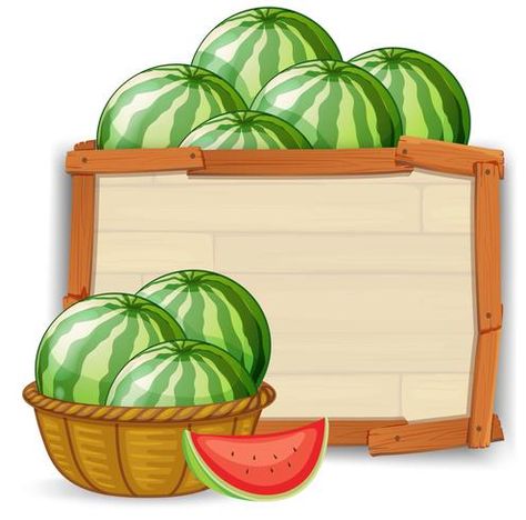 Watermelon Background, Watermelon Vector, Watermelon Illustration, Retro Signage, Table Labels, Watermelon Day, Summer Sale Banner, Background For Powerpoint Presentation, Banner Illustration