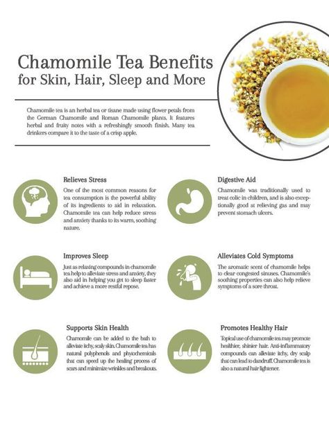 All Natural Organic Chamomile Flowers (Chamaemelum nobile) Benefits Of Chamomile, Chamomile Tea Benefits, Chamomile Plant, Haut Routine, Tomato Nutrition, Calendula Benefits, Fruit Health Benefits, Matcha Benefits, Lemon Benefits