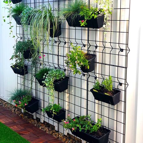 Vertical Fence Garden, Herb Garden On Fence, Herb Garden Fence, Vege Garden Design, Hanging Vegetable Garden, Secret Garden Aesthetic, Gardens Design Ideas, Edible Herbs, Backyard Hill Landscaping