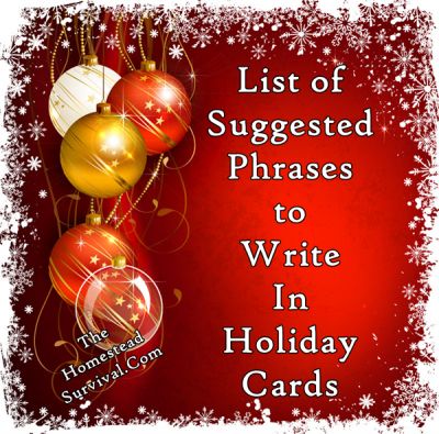 Christmas Verses, Christmas Card Sayings, Christmas Card Messages, Homemade Christmas Cards, Card Sayings, The Homestead, Card Sentiments, Christmas Messages, Homestead Survival