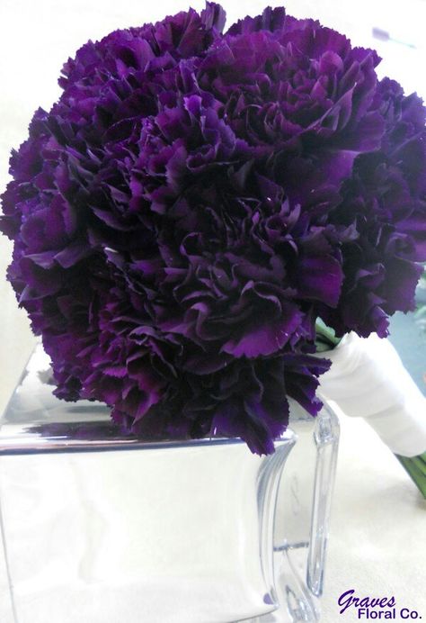 Check out this beautiful photo of our lovely Moonshade carnations! We love the elegant simplicity of this bouquet.   Get your own 40 purple carnations for $53.85 here: http://www.thepurplestore.com/cgi-bin/product_detail.cgi?pstore_id=11351 Purple Carnation Bouquet, Purple Carnations, Carnation Bouquet, Purple Bouquets, Purple Bouquet, Cheap Flowers, Purple Wedding Flowers, No Rain, Purple Love