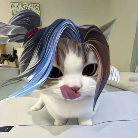 𝗚𝘆𝗲𝗼𝗹🐬 on TikTok Mlbb Cat Pfp, Mlbb Profile, Couple Mlbb, Legend Cat, Mlbb Icons, Hello Kitty Videos, Nature Photography Flowers, Cat Cosplay, Duos Icons