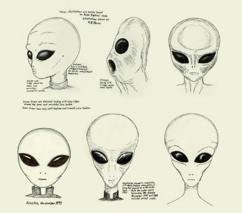 Project Blue Book, Ufo Art, Alien Drawings, Grey Alien, Alien Aesthetic, Moonlight Painting, Arte Alien, Zine Design, Alien Concept