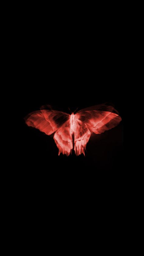 Butterfly Poster, Magic Aesthetic, Red Butterfly, Red Wallpaper, Butterfly Wallpaper, Creative Tattoos, Red Aesthetic, Room Posters, الرسومات اللطيفة