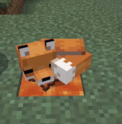 Fox Den Minecraft, Fox Minecraft, Minecraft Animals, Fox Sleeping, Fox Cake, Minecraft Things, Face Reveal, Baby Fox, Sleeping Dogs