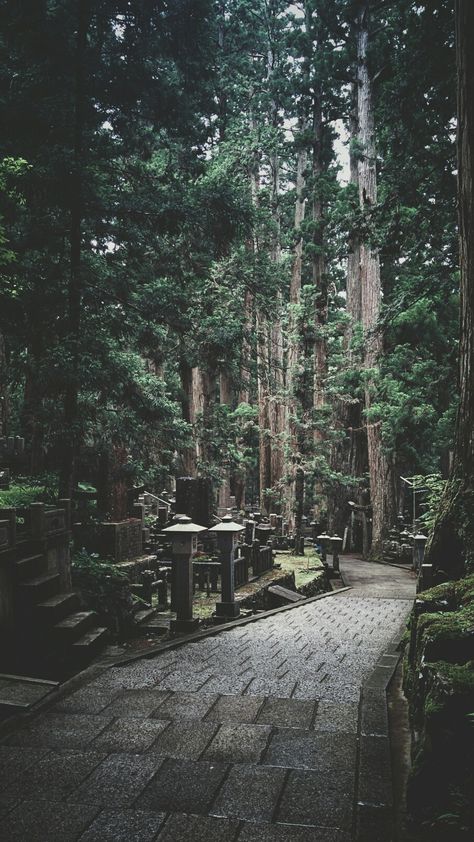 The forest surrounding Mount Koya (Koyasan) in Wakayama, a sacred mountain and temple complex founded by the monk Kobo Daishi, serves as a huge cemetery. So huge, in fact, that Okunoin Cemetery, as it is called, is the largest in all of Japan. - www.atlasobscura.com Okunoin Cemetery, Mount Koya, Forest Temple, Sacred Mountain, Scenery Background, Mountain Forest, Wakayama, The Monks, The Forest