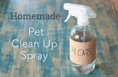 How To Make Homemade Pet Stain & Odor Spray with vinegar and essential oils. Vinegar Cleaning Spray, Clean Hacks, Homemade Toilet Cleaner, Cleaning Painted Walls, Vinegar Cleaning, Glass Cooktop, Deep Cleaning Tips, Pet Cleaning, Pet Stains