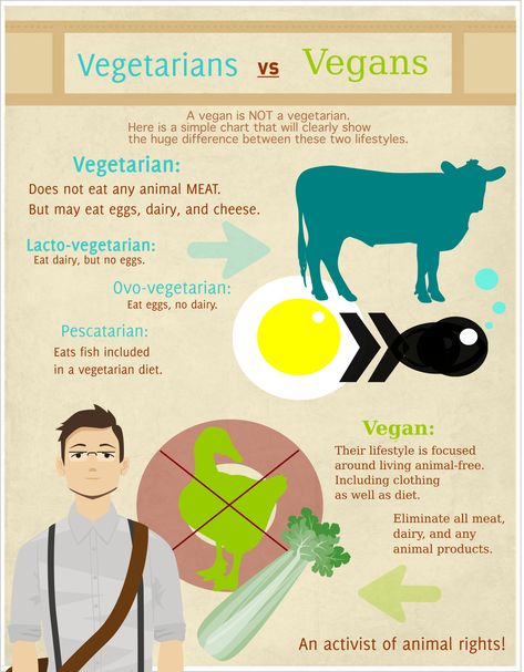 I am slowly gravitating toward a vegetarian lifestyle. Have you considered a vegetarian or vegan lifestyle but not quite clear of the differences? A illustration is below. Vegan Vs Vegetarian, How To Become Vegan, Ovo Vegetarian, Vegetarian Lifestyle, Live Animals, Healthy Veggies, Vegetarian Diet, Do Not Eat, Vegan Lifestyle