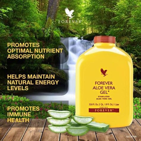 Drinks  Aloe Vera Gel Forever Living Aloe Vera Gel, Forever Aloe Vera Gel, Aloe Vera Gel Forever, Aloe Drink, Aloe Vera Gel Drink, Forever Living Aloe Vera, Tooth Gel, Job Poster, Forever Business