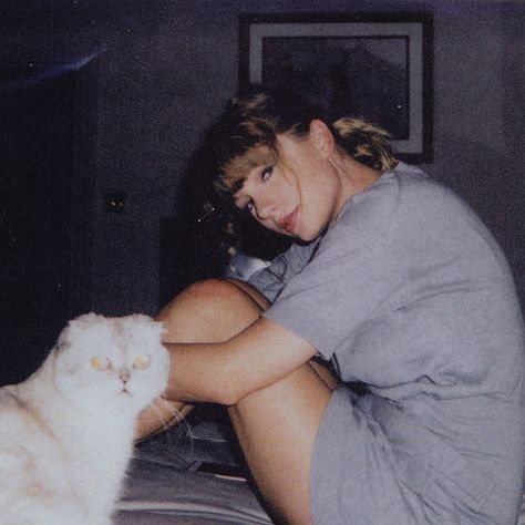 Taylor Swift icons - like or reblog if you save Taylor Swift Cat, Taylor Swift Fotos, Charlie Heaton, Miss Americana, Estilo Taylor Swift, Swift Photo, Bonnie N Clyde, Taylor Swift Funny, Taylor Swift Wallpaper