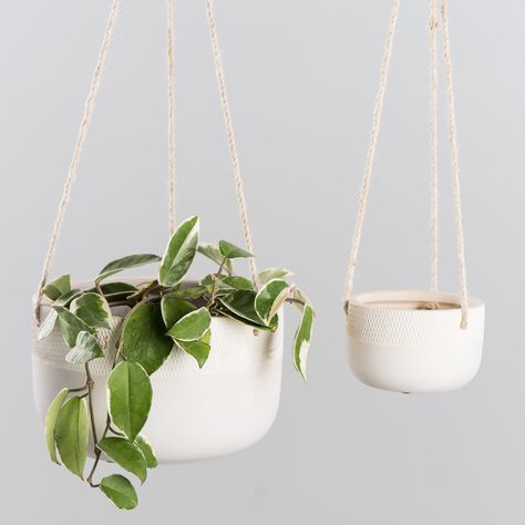 Large Hanging Planters, Hanging Plants Diy, Diy Hanging Planter, Hanging Plant Holder, Hanging Plants Indoor, Bathroom Plants, White Planters, Diy Hanging, Hanging Planter