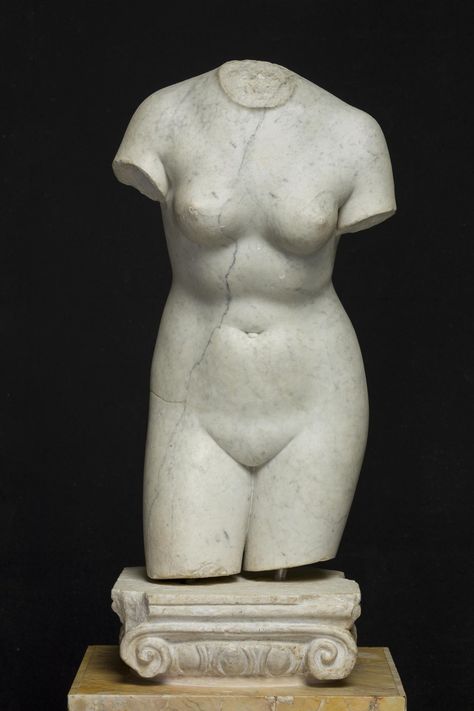 Ancient Greek Sculpture, Anatomy Sculpture, Classic Sculpture, Dnd Classes, Greek Statues, Female Torso, Bust Sculpture, Greek Sculpture, Marble Statues