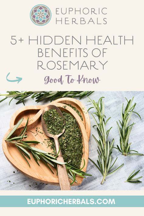 Rosemary is an herb you might think about adding to your cooking recipes, but it also has quite a few hidden health benefits. This is a plant that has been revered for thousands of years to flavor and preserve food as well as for medicinal use. Benefits Of Rosemary, Rosemary Herb, Rosemary Tea, Cardiovascular Disorders, Rosemary Plant, Preserve Food, Plant Benefits, Culinary Herbs, Herbs For Health