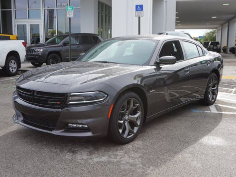 2015 Dodge Charger R/T Dodge Charger Gray, 2012 Dodge Charger, Charger 2015, Dodge Charger 2011, 2015 Dodge Charger, Dodge Vehicles, 1970 Dodge Charger R/t, Dodge Chrysler, Dodge Charger 2011-2014