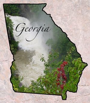 State Of Georgia, Georgia Girls, Life Insurance Quotes, State Symbols, Georgia Homes, Georgia On My Mind, Georgia Usa, Georgia State, Life Insurance Policy