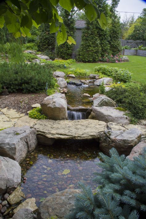 Pond Natural, Natural Ponds, Backyard Stream, Garden Stream, Fountains Backyard, Pond Waterfall, Backyard Designs, Pond Water Features, Pond Landscaping