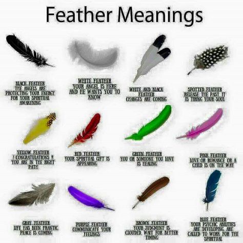 guinea fowl feather spiritual meaning - : Yahoo Image Search Results White Feather Meaning, Feather Color Meaning, Feather Magic, Finding Feathers, Feather Tattoo Meaning, Feather Meaning, Witch Spirituality, Native American Symbols, American Symbols