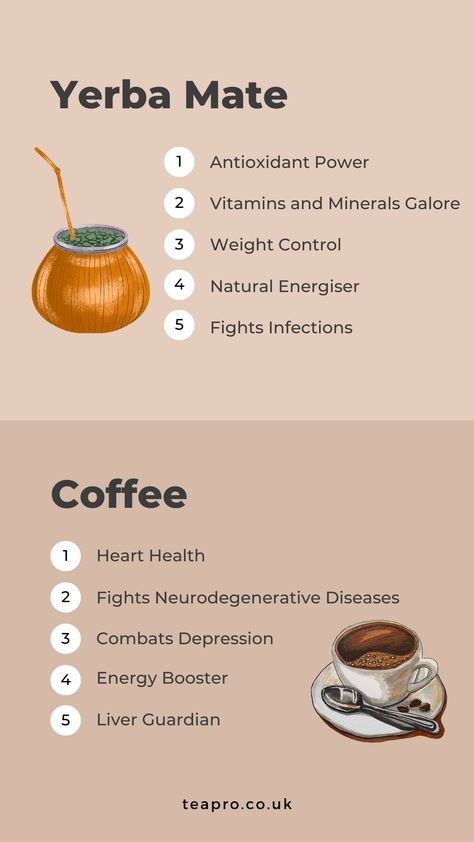 Many of us have become increasingly conscious of leading a healthy lifestyle and are keenly focused on the health benefits of beverages we consume. Therefore, to provide you an overview of Yerba Mate and Coffee, we will go through the health benefits and side effects of Yerba Mate and Coffee and debunk the myths surrounding these beverages! Yerba Mate Benefits, Replace Coffee, Tea Health, Yerba Mate Tea, Coffee Substitute, Female Health, Mate Tea, Tea Health Benefits, Herbal Drinks