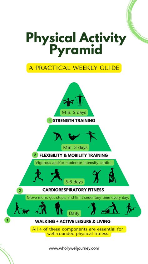 Physical Activity Pyramid, Pyramid Training, Pyramid Workout, Gym Workout Plan For Women, Anaerobic Exercise, Bodyweight Training, Exercise Program, Increase Stamina, Workout Plan For Women